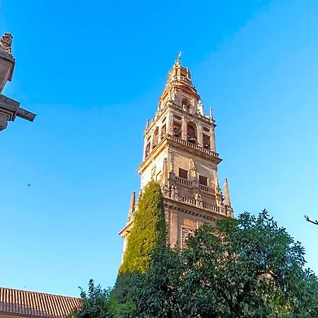 Patios De San Agustín Córdoba